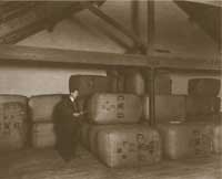 the employees and a shareholder.